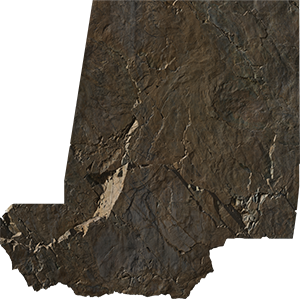 VE0697