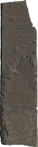 VE1081