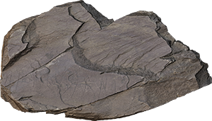 VE1084