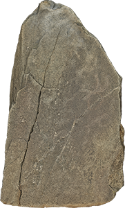 VE1097
