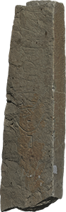 VE1186