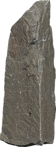 VE1187