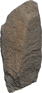 VE1206
