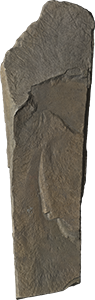VE1210