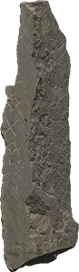 VE1212