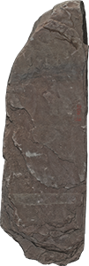 VE1215