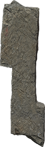 VE1217