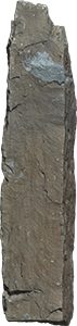 VE1218