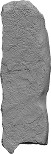 VE1431 illustration Z