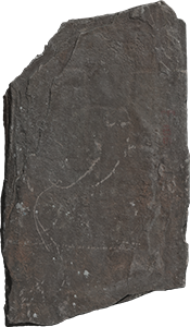VE1434