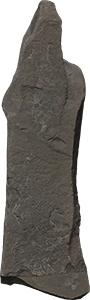 VE1435