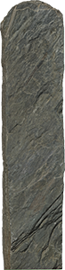 VE1448