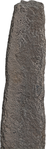 VE1450