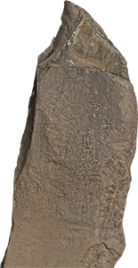 VE1458