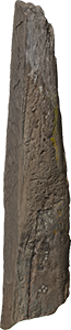 VE1459