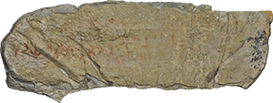 VE1527