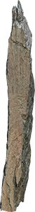 VE1535