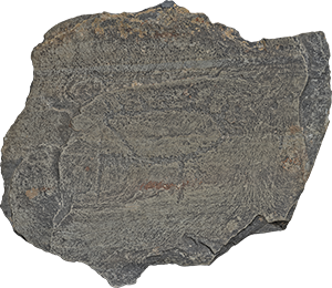 VE1543