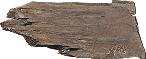 VE1544