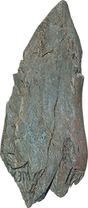 VE1552