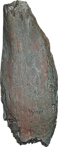 VE1553
