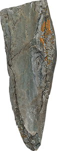 VE1555