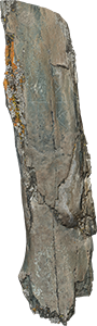 VE1556