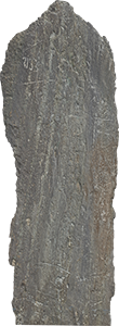 VE1558