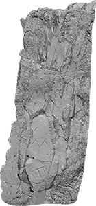 XZ2688 illustration Z